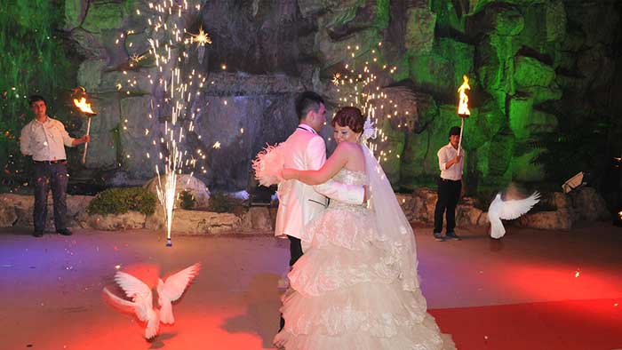 Düğün Organizasyonu 